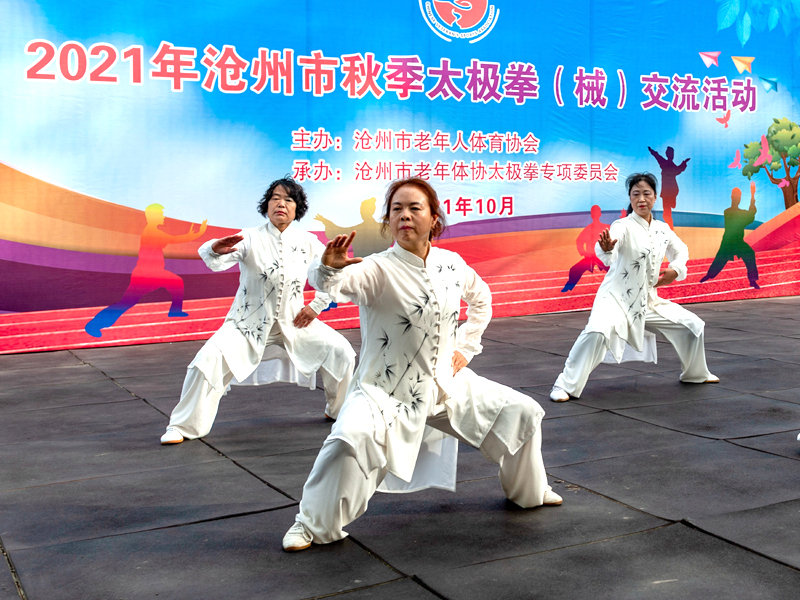 张家侠《我的太极拳》（优秀奖）.jpg